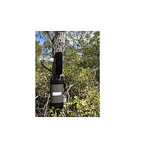 Máy đo diện tích lá cây