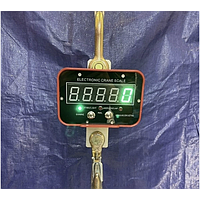 Cân cầu trục