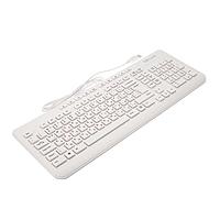 Thiết bị đầu vào